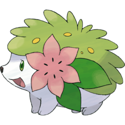 Cutest Pokemon Shaymin